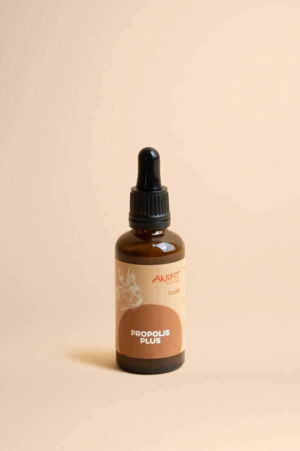 Propoli remède naturel pour chiens et chats